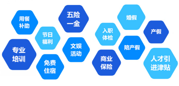 提供全面、系統(tǒng)、專業(yè)的培訓(xùn)和廣闊的<br>職業(yè)發(fā)展空間和提升機(jī)會